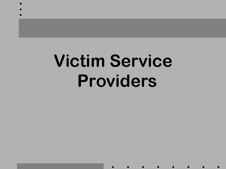 Victim Service Providers 