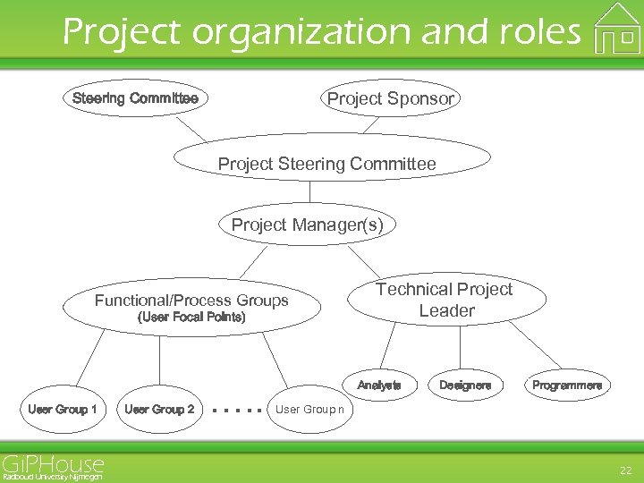 Project organization and roles Project Sponsor Steering Committee Project Manager(s) Functional/Process Groups (User Focal