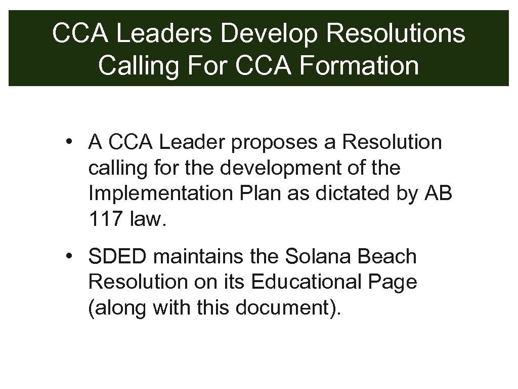 CCA Leaders Develop Resolutions Calling For CCA Formation • A CCA Leader proposes a