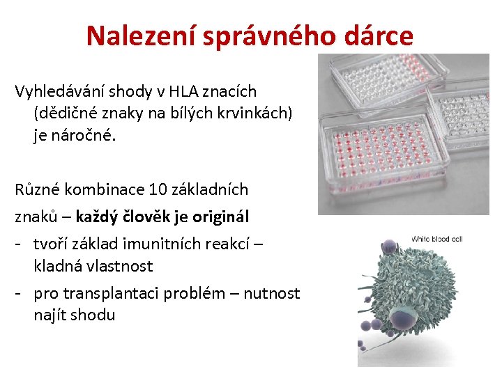 Nalezení správného dárce Vyhledávání shody v HLA znacích (dědičné znaky na bílých krvinkách) je