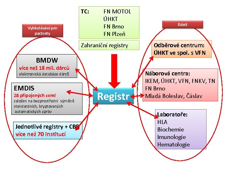 TC: Vyhledávání pro pacienty FN MOTOL ÚHKT FN Brno FN Plzeň Zahraniční registry BMDW