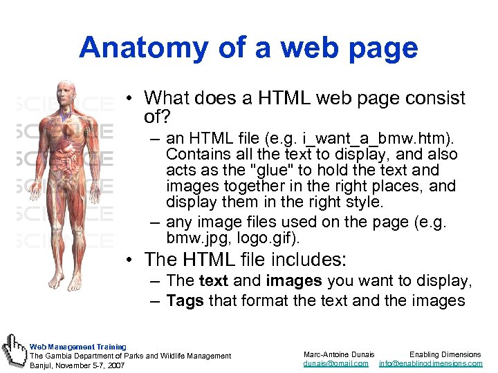 Anatomy of a web page • What does a HTML web page consist of?
