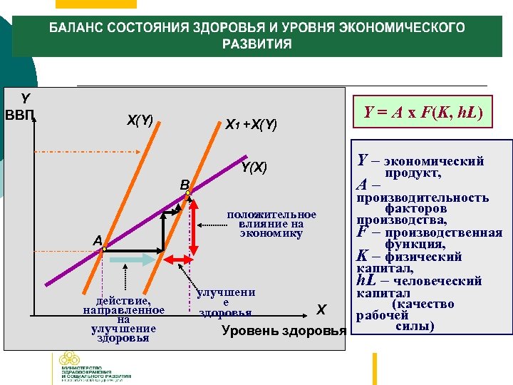 Y ВВП Х(Y) Х 1 +Х(Y) Y(Х) B А действие, направленное на улучшение здоровья