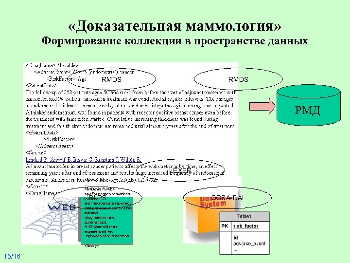  «Доказательная маммология» Формирование коллекции в пространстве данных RMDS РМД LEXER <body> … <b>Davis