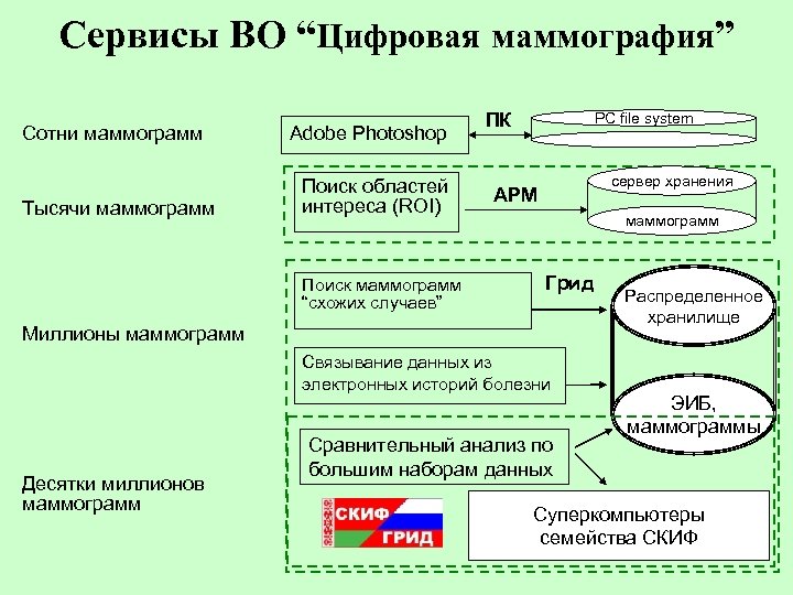 Сервисы ВО “Цифровая маммография” Сотни маммограмм Тысячи маммограмм Adobe Photoshop Поиск областей интереса (ROI)