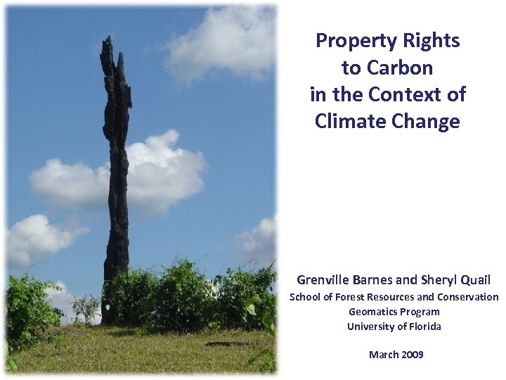 Property Rights to Carbon in the Context of Climate Change Grenville Barnes and Sheryl