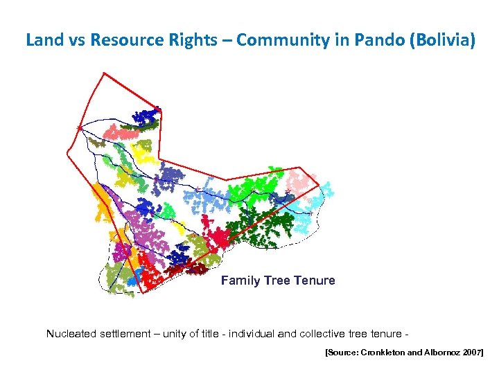 Land vs Resource Rights – Community in Pando (Bolivia) Family Tree Tenure Nucleated settlement