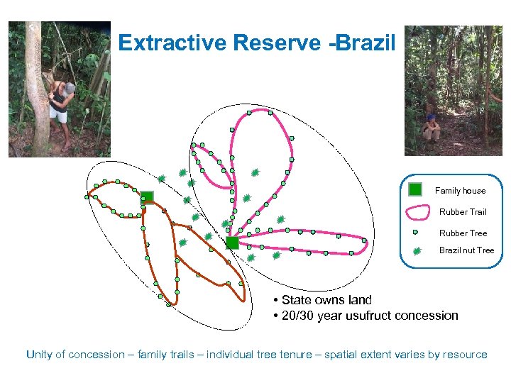 Extractive Reserve -Brazil Family house Rubber Trail Rubber Tree Brazil nut Tree • State