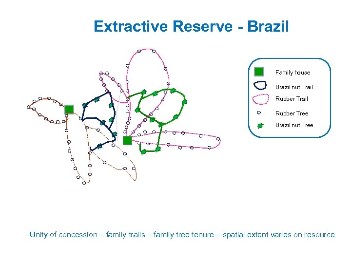 Extractive Reserve - Brazil Family house Brazil nut Trail Rubber Tree Brazil nut Tree