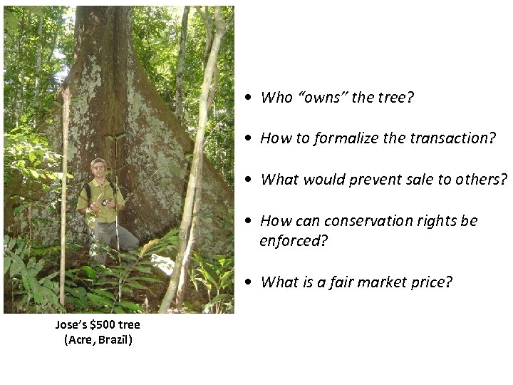  • Who “owns” the tree? • How to formalize the transaction? • What