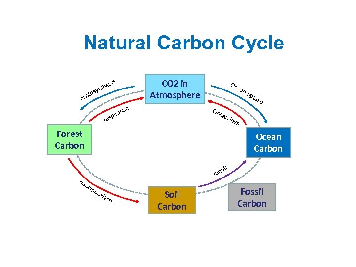 Natural Carbon Cycle he ynt CO 2 in Atmosphere sis s to ho p