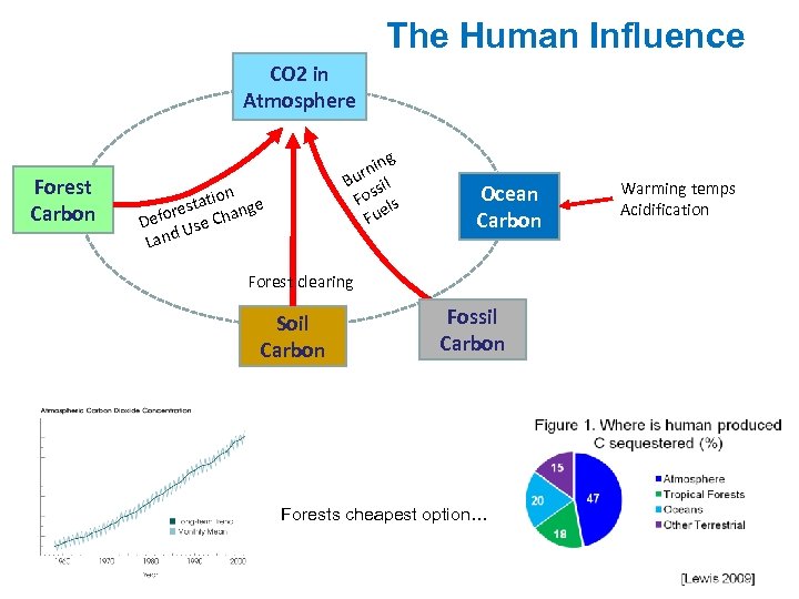 The Human Influence CO 2 in Atmosphere Forest Carbon g nin r Bu sil