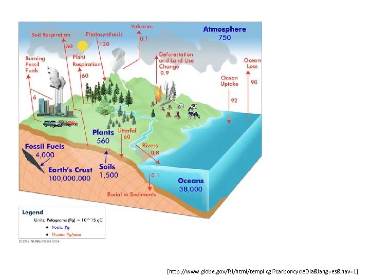 [http: //www. globe. gov/fsl/html/templ. cgi? carboncycle. Dia&lang=es&nav=1] 