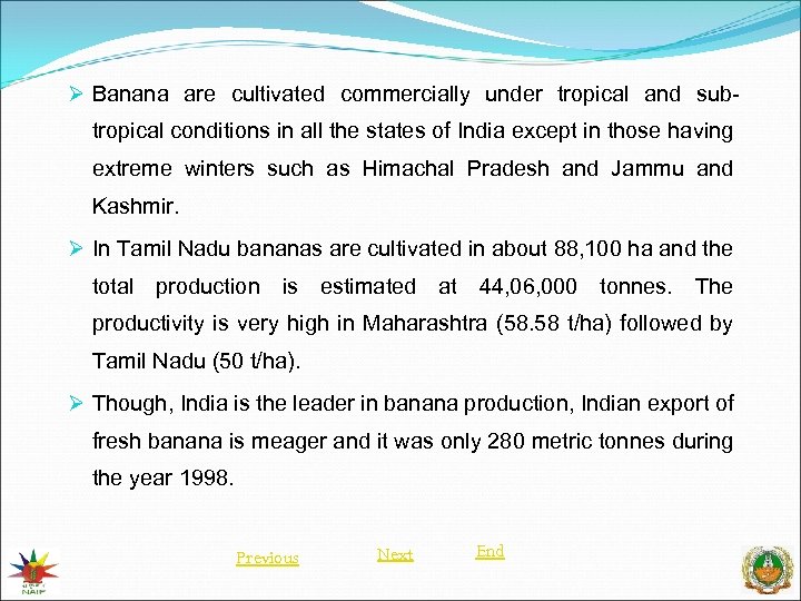 Ø Banana are cultivated commercially under tropical and sub- tropical conditions in all the