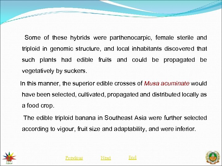 Some of these hybrids were parthenocarpic, female sterile and triploid in genomic structure, and