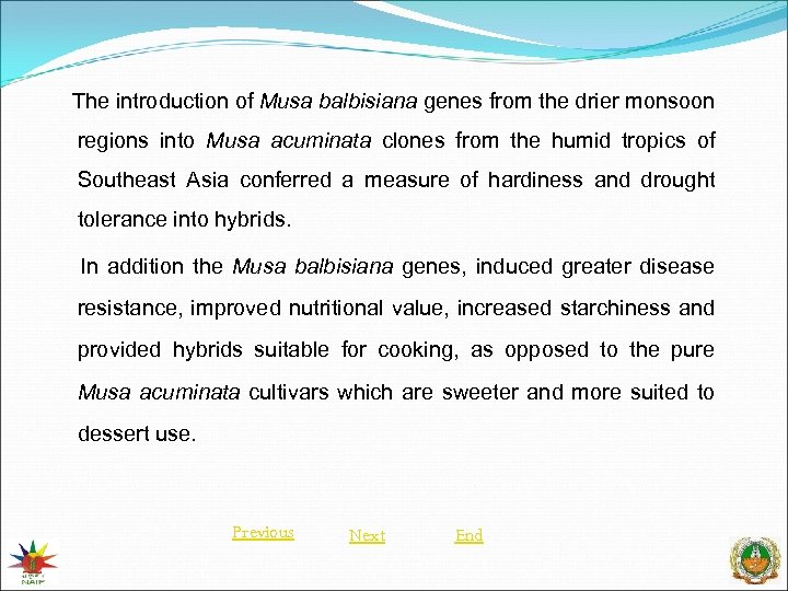 The introduction of Musa balbisiana genes from the drier monsoon regions into Musa acuminata