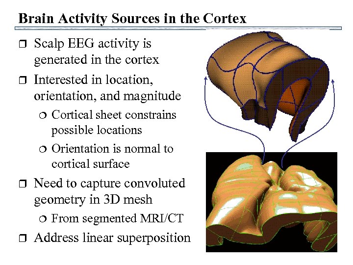 Brain Activity Sources in the Cortex r r Scalp EEG activity is generated in