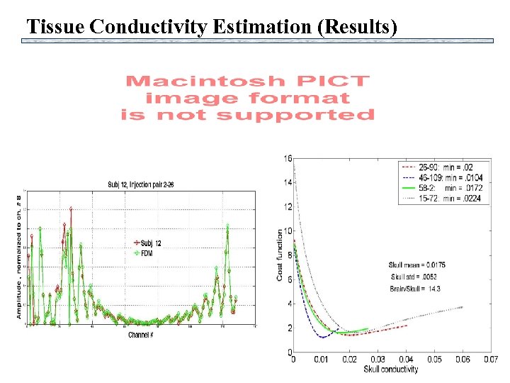 Tissue Conductivity Estimation (Results) 