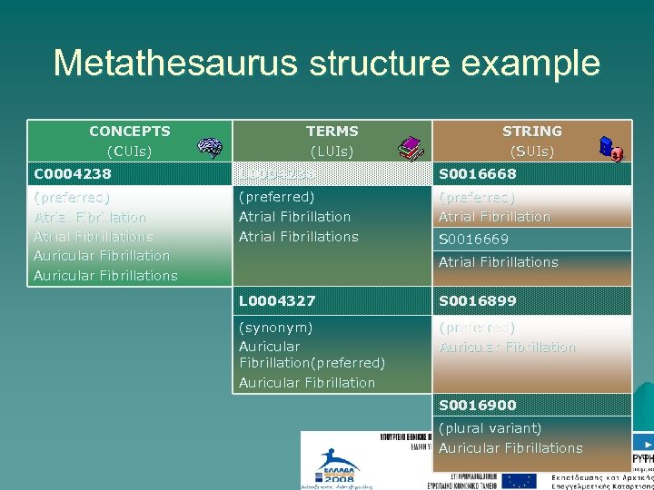 Metathesaurus structure example CONCEPTS (CUIs) TERMS (LUIs) STRING (SUIs) C 0004238 L 0004238 S