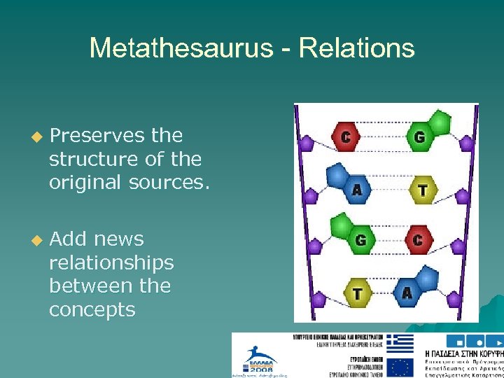 Metathesaurus - Relations u u Preserves the structure of the original sources. Add news