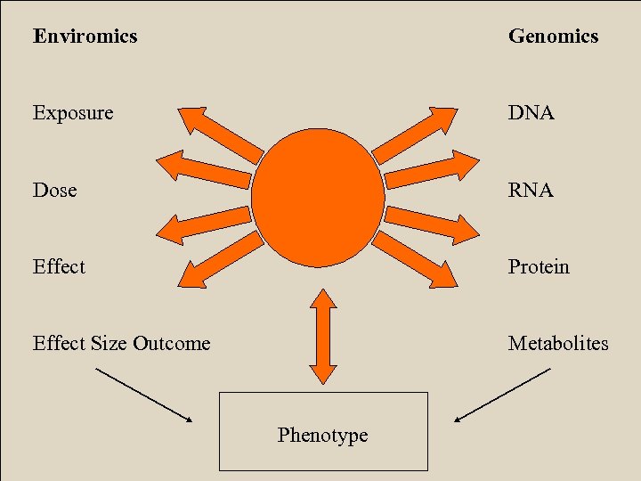 Enviromics Genomics Exposure DNA Dose RNA Effect Protein Effect Size Outcome Metabolites Phenotype 