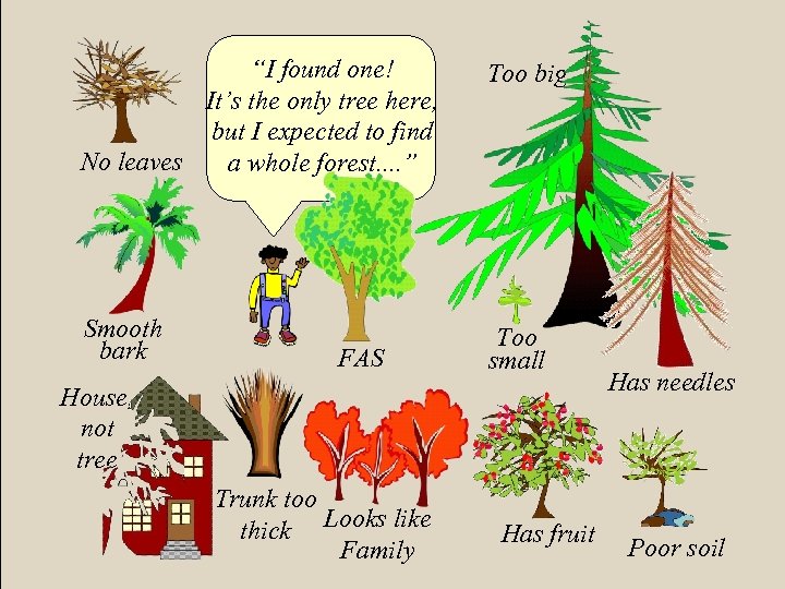 “I found one! It’s the only tree here, but I expected to find No