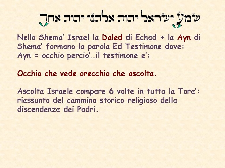 Nello Shema’ Israel la Daled di Echad + la Ayn di Shema’ formano la