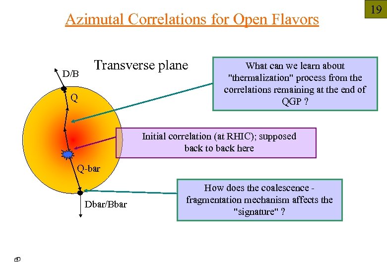 Azimutal Correlations for Open Flavors D/B Transverse plane Q What can we learn about