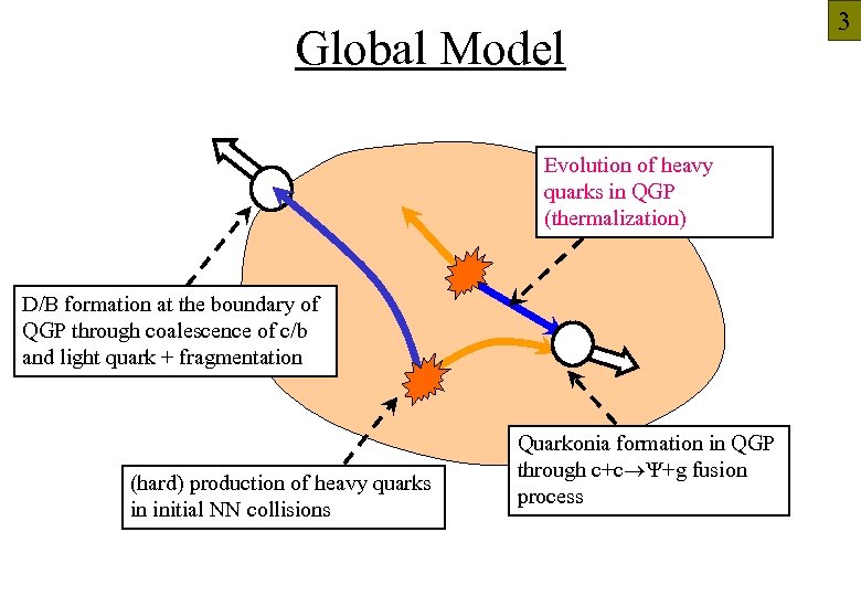 3 Global Model Evolution of heavy quarks in QGP (thermalization) D/B formation at the