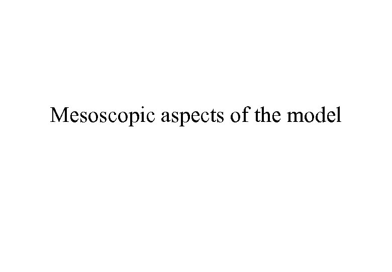 Mesoscopic aspects of the model 