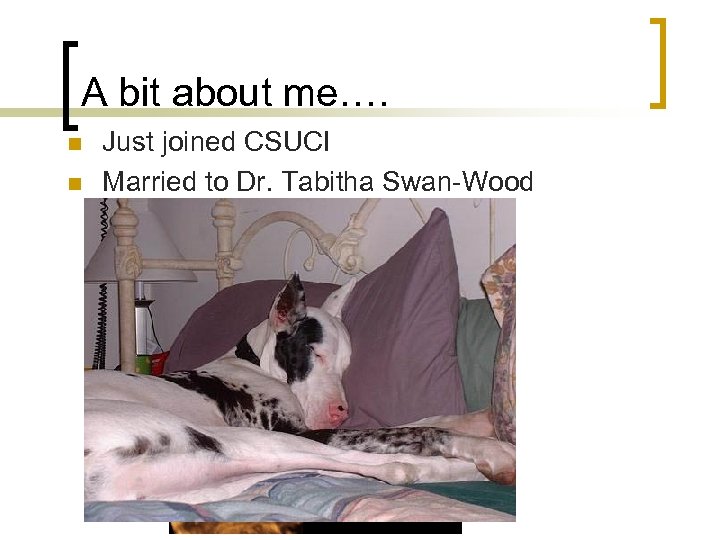 A bit about me…. n n Just joined CSUCI Married to Dr. Tabitha Swan-Wood