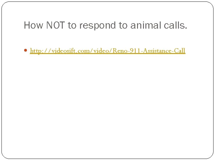 How NOT to respond to animal calls. http: //videosift. com/video/Reno-911 -Assistance-Call 