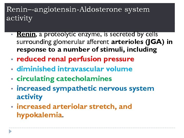 Renin–-angiotensin-Aldosterone system activity • Renin, a proteolytic enzyme, is secreted by cells surrounding glomerular