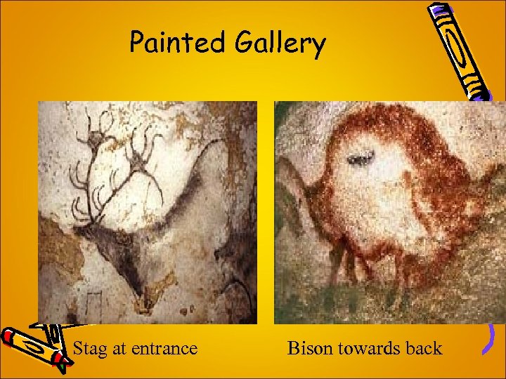 Painted Gallery Stag at entrance Bison towards back 