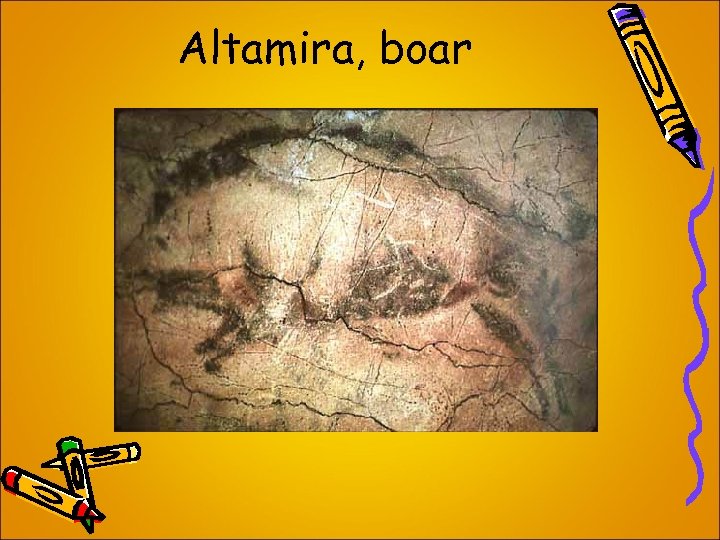 Altamira, boar 