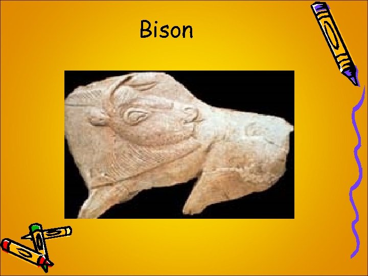 Bison 
