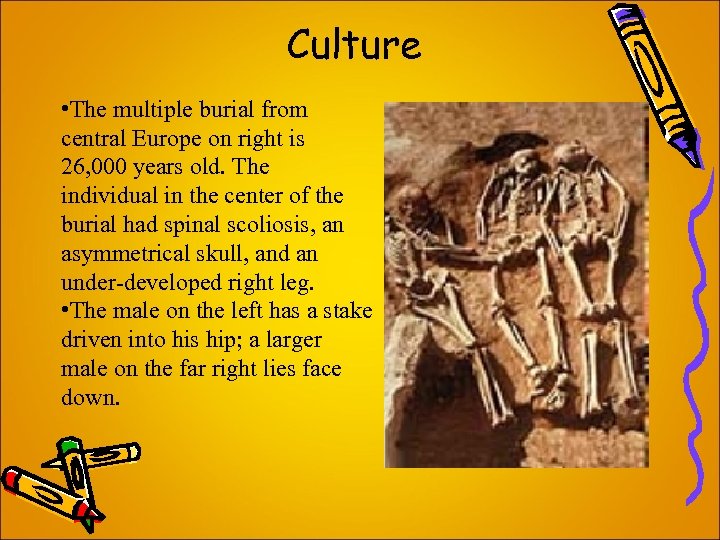 Culture • The multiple burial from central Europe on right is 26, 000 years