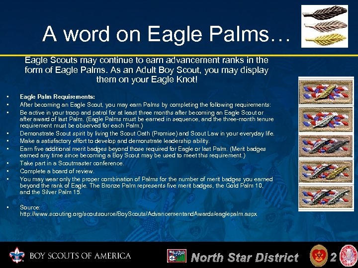 A word on Eagle Palms… Eagle Scouts may continue to earn advancement ranks in