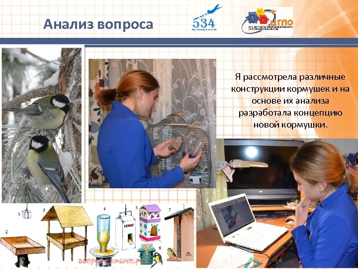 Анализ вопроса Я рассмотрела различные конструкции кормушек и на основе их анализа разработала концепцию