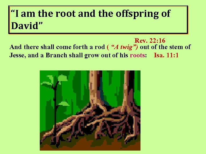 “I am the root and the offspring of David” Rev. 22: 16 And there