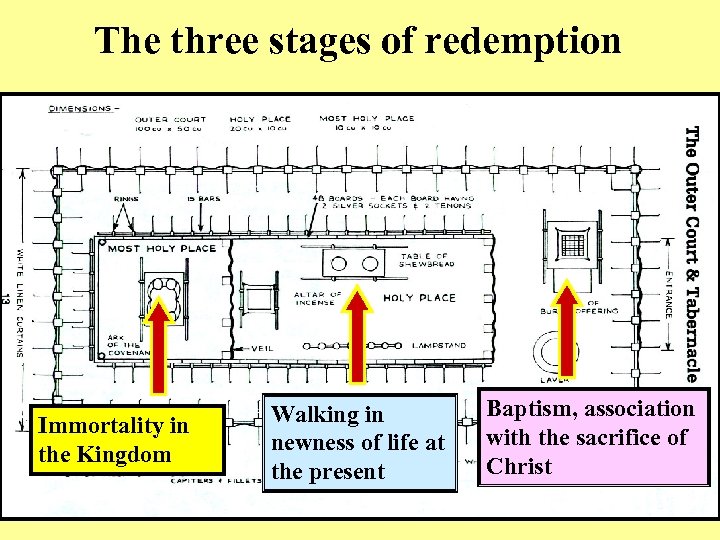 The three stages of redemption Immortality in the Kingdom Walking in newness of life