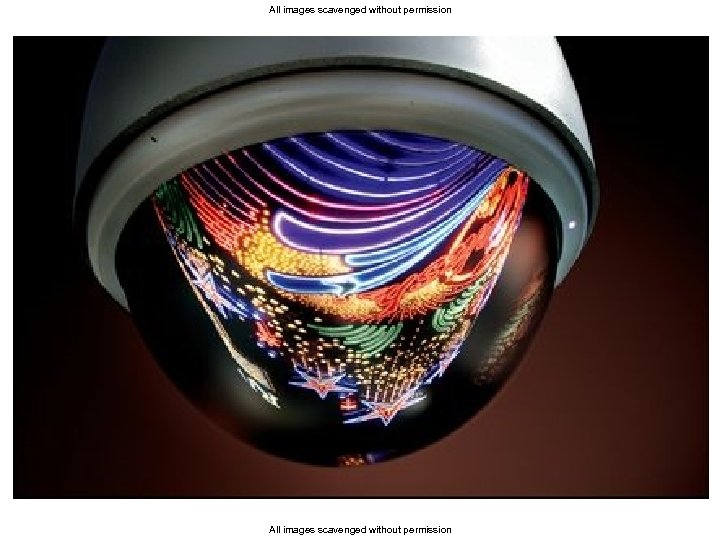 All images scavenged without permission 