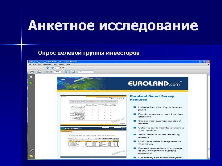 Анкетное исследование Опрос целевой группы инвесторов 