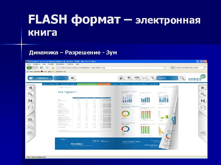 FLASH формат – электронная книга Динамика – Разрешение - Зум 