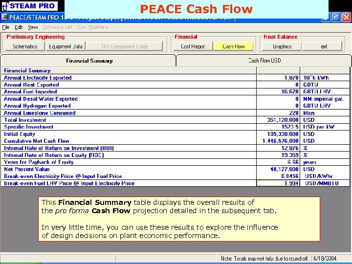 STEAM PRO PEACE Cash Flow This Financial Summary table displays the overall results of