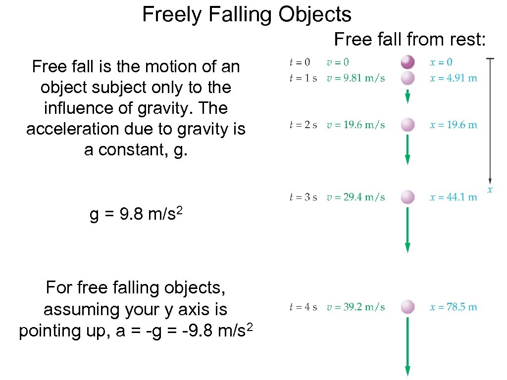Freely Falling Objects Free fall from rest: Free fall is the motion of an