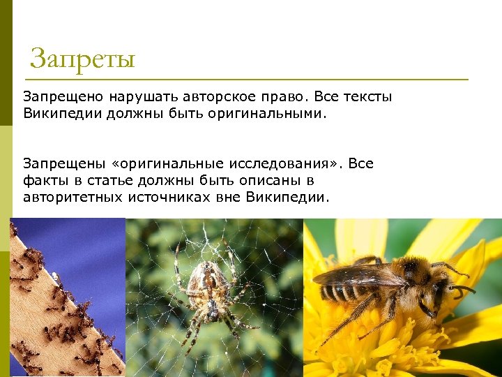 Запреты Запрещено нарушать авторское право. Все тексты Википедии должны быть оригинальными. Запрещены «оригинальные исследования»