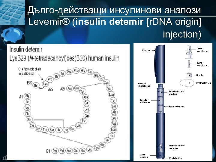 Дълго-действащи инсулинови аналози Levemir® (insulin detemir [r. DNA origin] injection) 