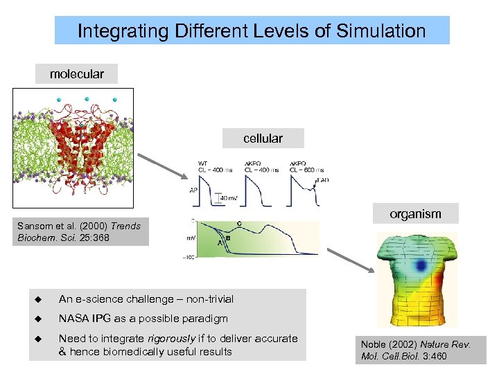 Integrating Different Levels of Simulation molecular cellular organism Sansom et al. (2000) Trends Biochem.