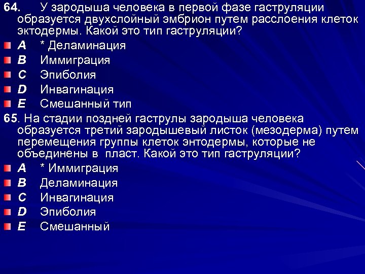 64. У зародыша человека в первой фазе гаструляции образуется двухслойный эмбрион путем расслоения клеток